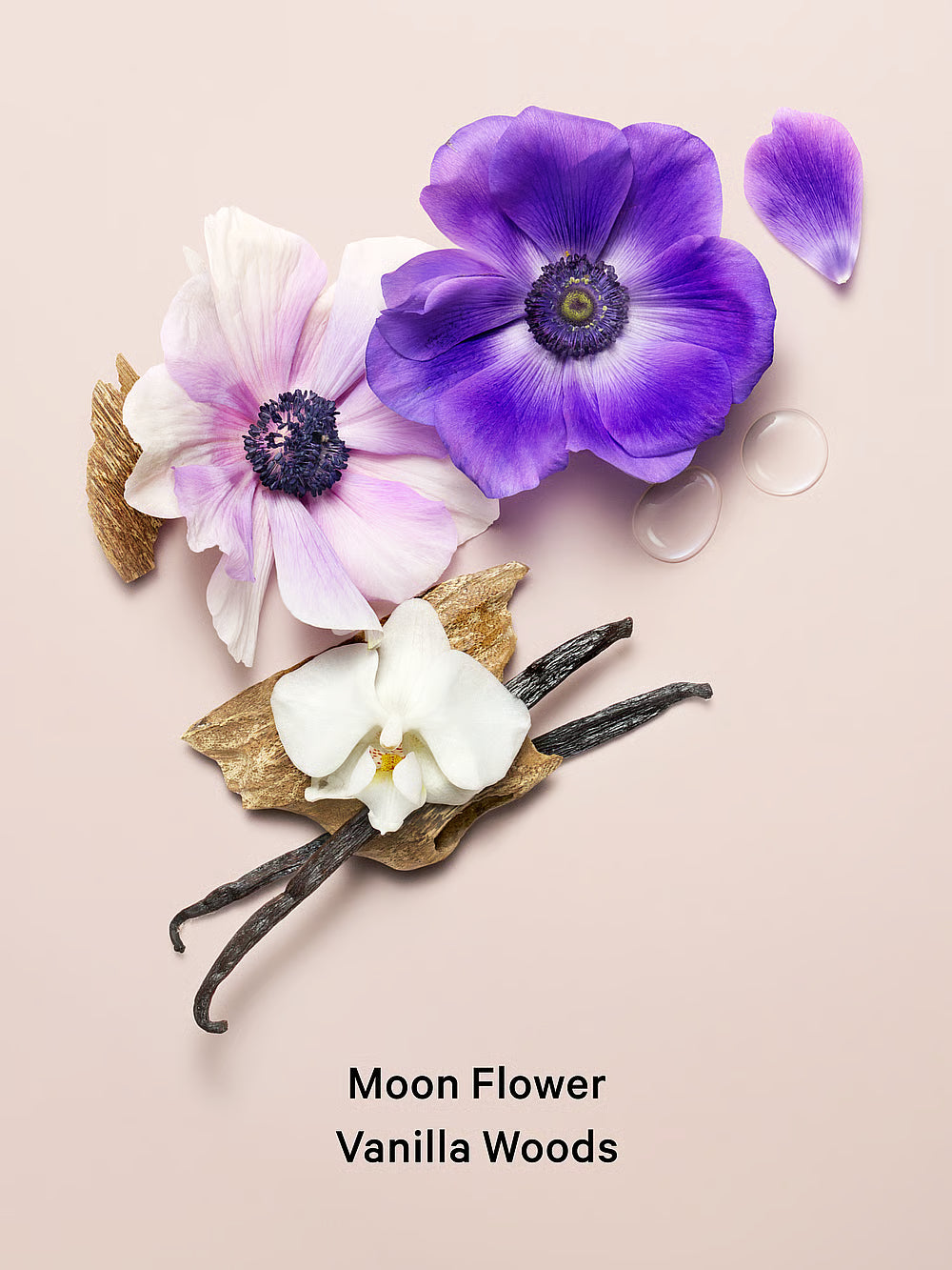 Midnight Bloom Mist Corporal