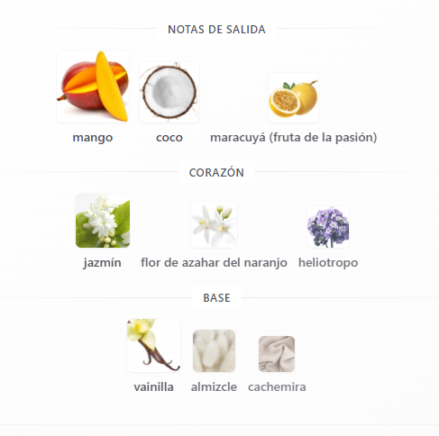 Yara Tous 100 ml Caja