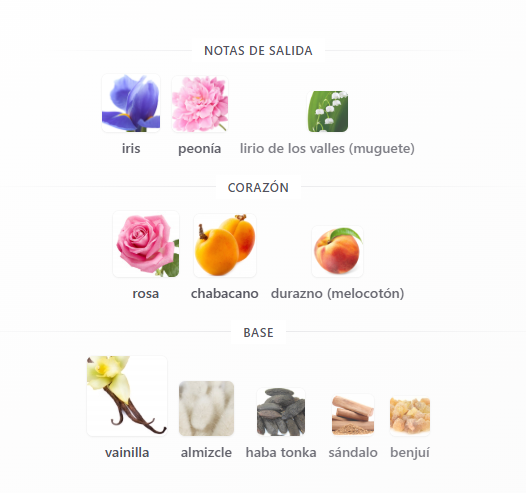 Miss Dior A1 Premiun